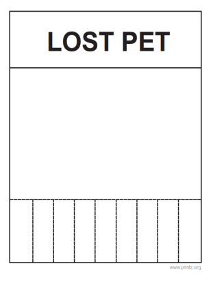 lost pet template