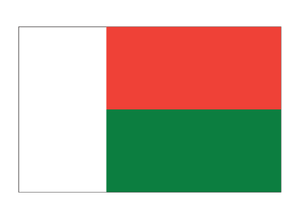 flag flyers