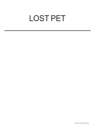 Lost Pet Flyer 2